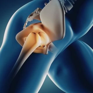 Favorire il benessere di cartilagini e tessuti articolari