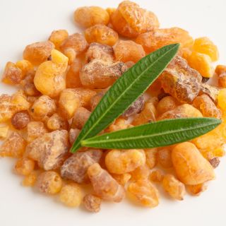 Boswellia